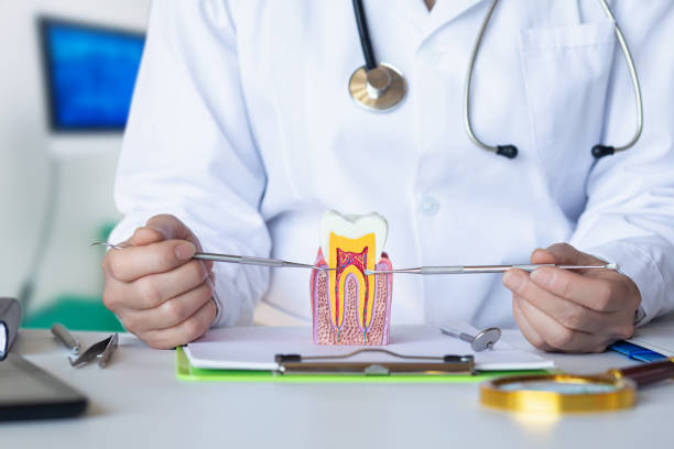 Best Dental Abscess Treatment in Winston, OR